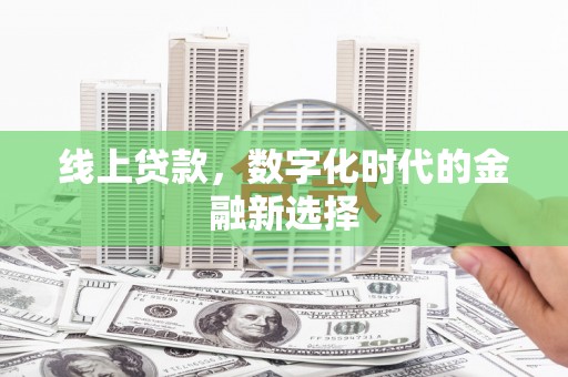 颍东线上贷款，数字化时代的金融新选择