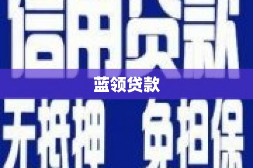 颍东蓝领贷款