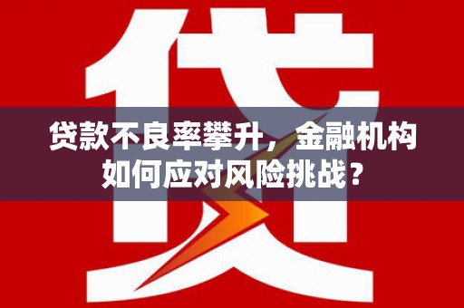 颍东贷款不良率攀升，金融机构如何应对风险挑战？