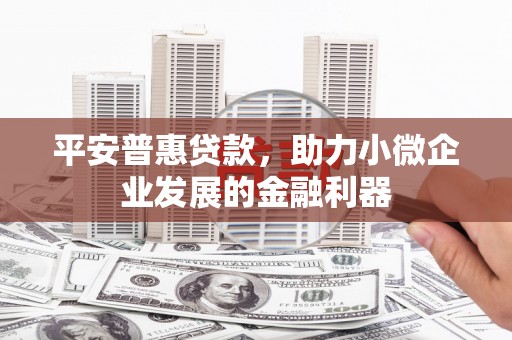 颍东平安普惠贷款，助力小微企业发展的金融利器