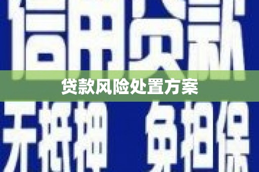 颍东贷款风险处置方案
