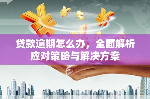 颍东贷款逾期怎么办，全面解析应对策略与解决方案