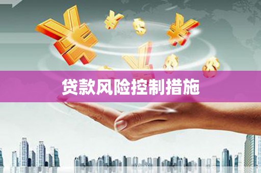 颍东贷款风险控制措施