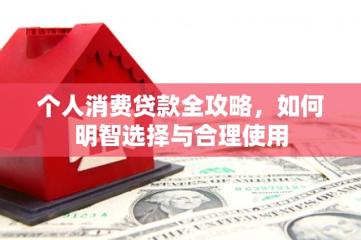 颍东个人消费贷款全攻略，如何明智选择与合理使用