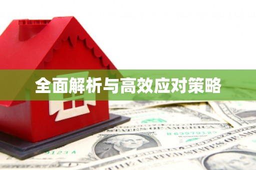 颍东全面解析与高效应对策略