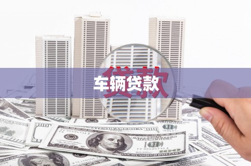 颍东车辆贷款