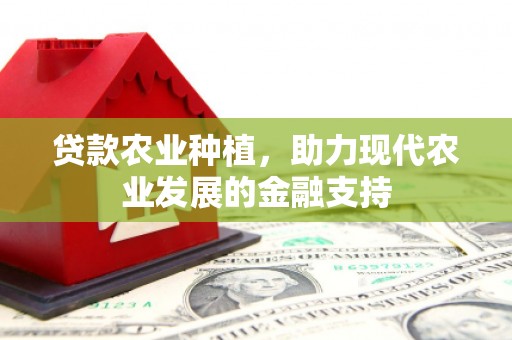 颍东贷款农业种植，助力现代农业发展的金融支持