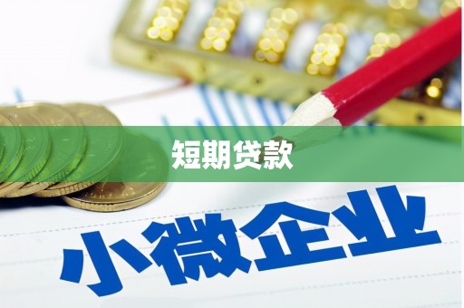 颍东短期贷款